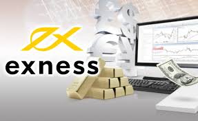 Discover the Range of Exness Trading Instruments Discover the Range of Exness Trading Instruments